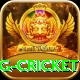 1st inning betting cricket Turbo v2.6.8
