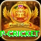 2022 world cup cricket Turbo v4.5.6