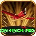aaron finch - Gaming Royal