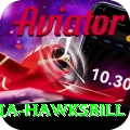 antigua hawksbill Premium Plus v5.0.2