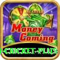 australian cricket Slots Master v2.4.8