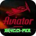 Bingo PKR Plus v3.8.7
