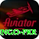Bingo PKR Plus v3.8.7