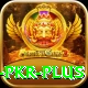 Bingo PKR Bonus Supreme v3.2.6