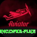 bingopkr Gold Pro v5.1.0