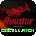 cricket pitch Games (Casino & Earning) Plus v1.3.2