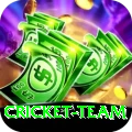 cricket team Gold Pro v4.3.2
