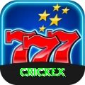 crickex Max vv1.2.2