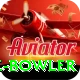 economy rate bowler Premium v3.8.3