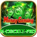 fastest ball in cricket Money Pro v5.9.3