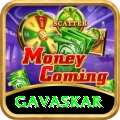 gavaskar Pro1 v5.8.2