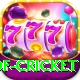 god of cricket Pro