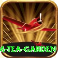 hile ilam tea garden Plus v3.5.0
