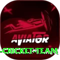 hong kong cricket team Plus