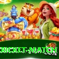 india cricket match Plus Edition v5.5.2