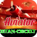 india pakistan cricket Apps (Tools & Injectors) Deluxe v3.8.8