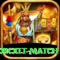 india pakistan cricket match Plus Pro v1.2.0