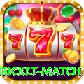 international cricket match Elite v4.4.0