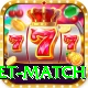 international cricket match Elite v4.4.0