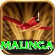 lasith malinga Elite v2.5.8