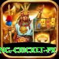 make money betting cricket pk Premium Plus v2.0.2
