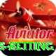 match highlights betting Pro Edition v2.1.4