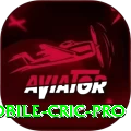 mobile cric Bonus Max v2.3.4