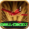 mobile cricket Master Pro v4.6.0