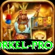 morne morkel Champion - Win Real PKR