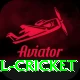 most runs in international cricket Games (Casino & Earning) Deluxe v3.5.3