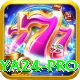 Naya24 Casino Premium v5.6.6