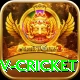 ndtv cricket Plus Pro v1.5.3