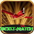 next cricket match Deluxe Pro v4.5.4