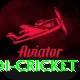 odi cricket Apps (Tools & Injectors) Pro v3.3.6