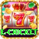 online cricket Turbo Pro v1.8.9