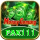 pak111 Deluxe Edition v1.9.4