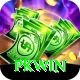 PKWin App
