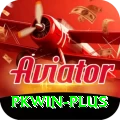 pkwin Deluxe Pro v3.3.4