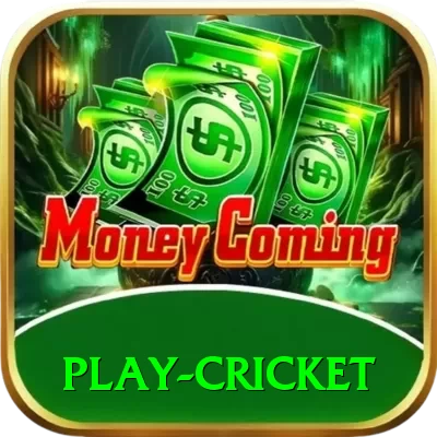 play cricket Turbo Pro v4.0.7 - 2