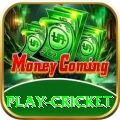 play cricket Turbo Pro v4.0.7