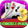 play cricket Casino Official v3.3.9