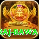 raj bawa Pro Edition v4.5.5