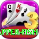red snapper fish Apps (Tools & Injectors) Pro v5.7.8