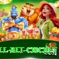 risk free bet cricket Ultimate Pro v2.9.5