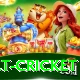 risk free bet cricket Ultimate Pro v2.9.5