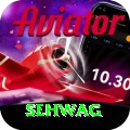 sehwag Pro v4.5.0