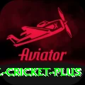 smartcric live cricket Mega PK v2.7.3