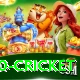 t20 cricket Pro