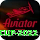 t20 world cup 2022 Deluxe v5.2.4