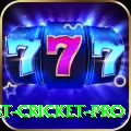 test cricket Casino Official v3.4.2
